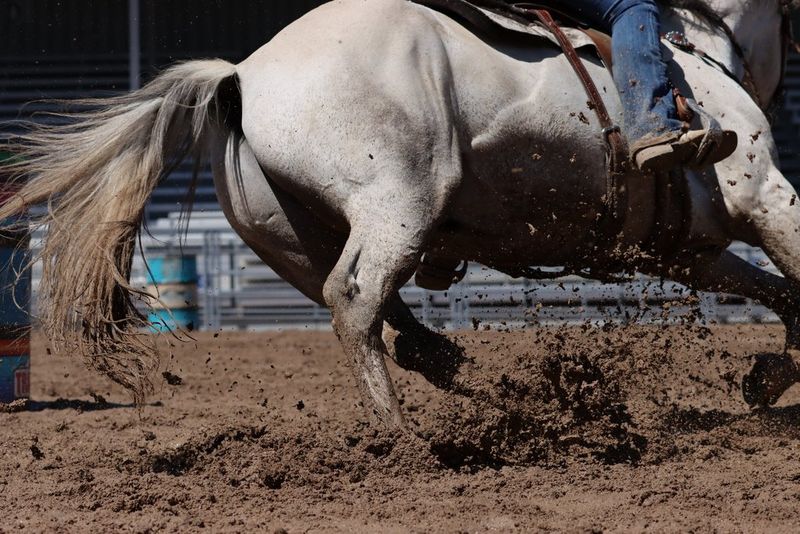 Лошадь с наездником бежит галопом по двору, вздымая клубы пыли.