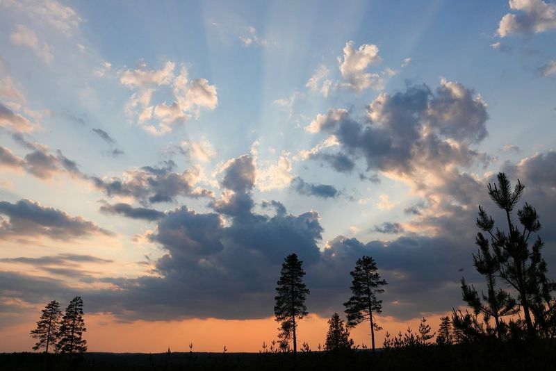 
       
         EOS DSLR za entuzijaste
       
     