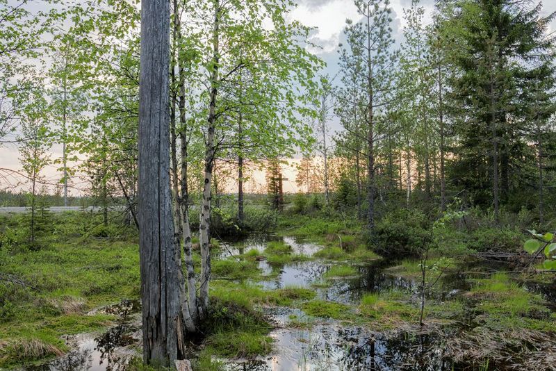 The Importance of Sustainability and the Circular Economy