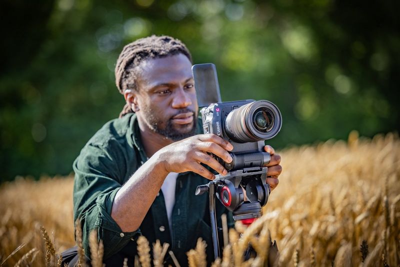 Funcţii de asistenţă profesionale şi practice