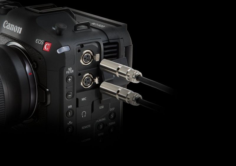 Interfaţă intrare/ieşire profesională