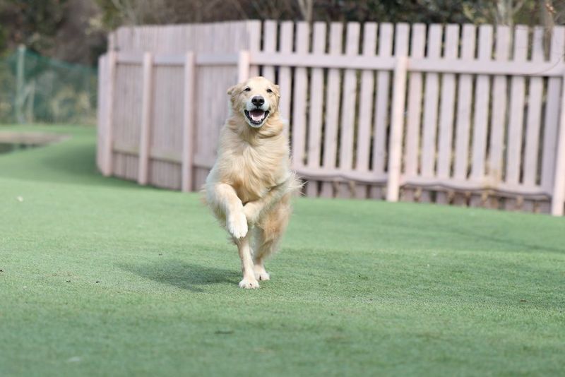 Vluchtige momenten vastleggen