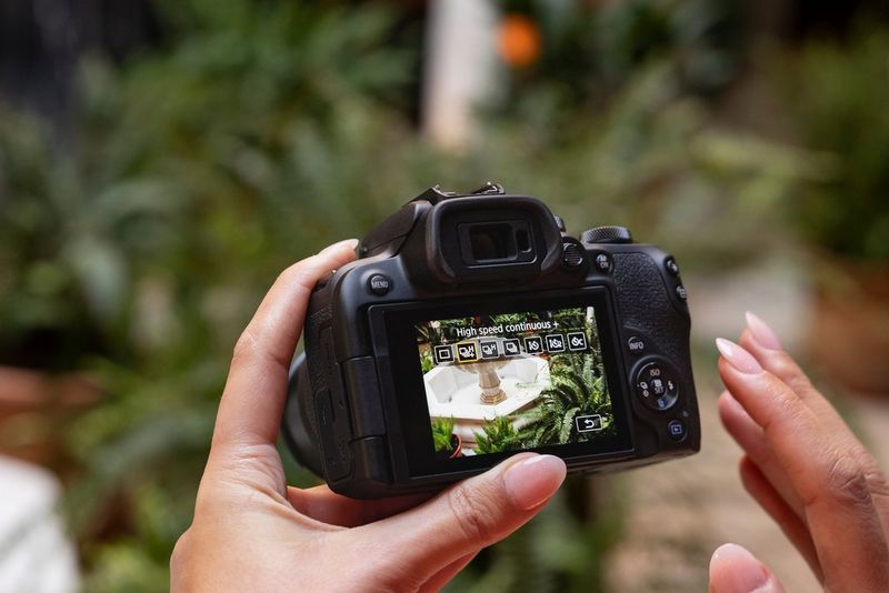 Canon EOS R10 в руках человека; в видоискателе можно увидеть фонтан и зеленые растения.
