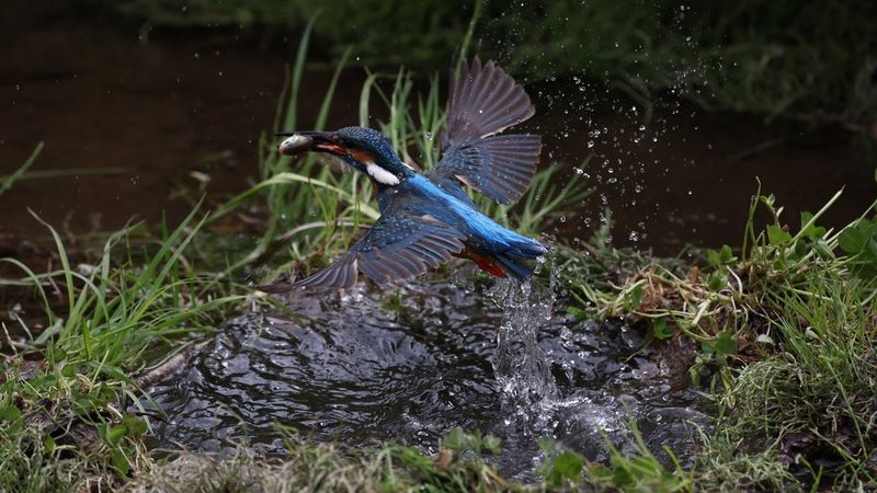 Controllo dei movimenti a 30fps