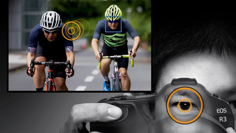 Vedeţi. Reacţionaţi. Răspundeţi