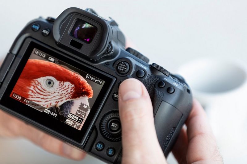 Which Canon cameras have which features