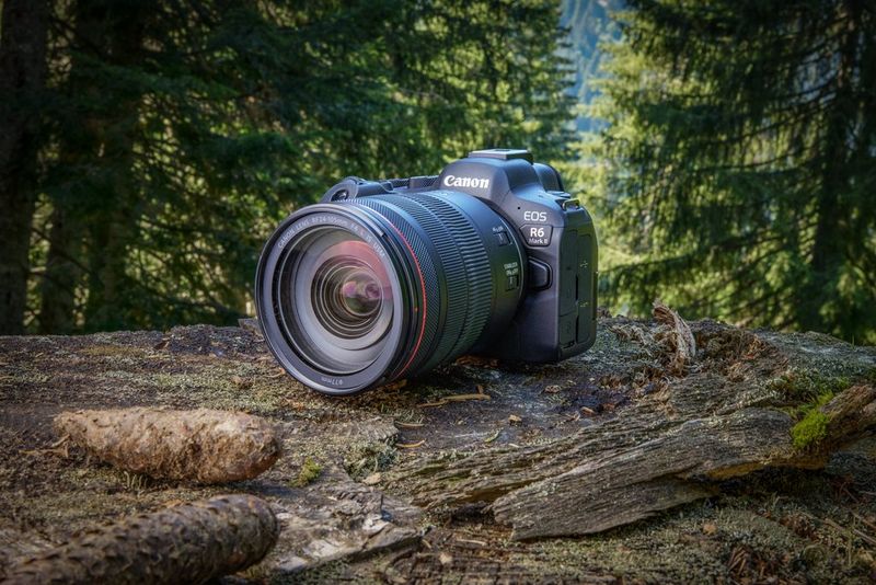 Le Canon EOS R6 Mark II posé sur un rocher moussu avec une forêt en arrière-plan.