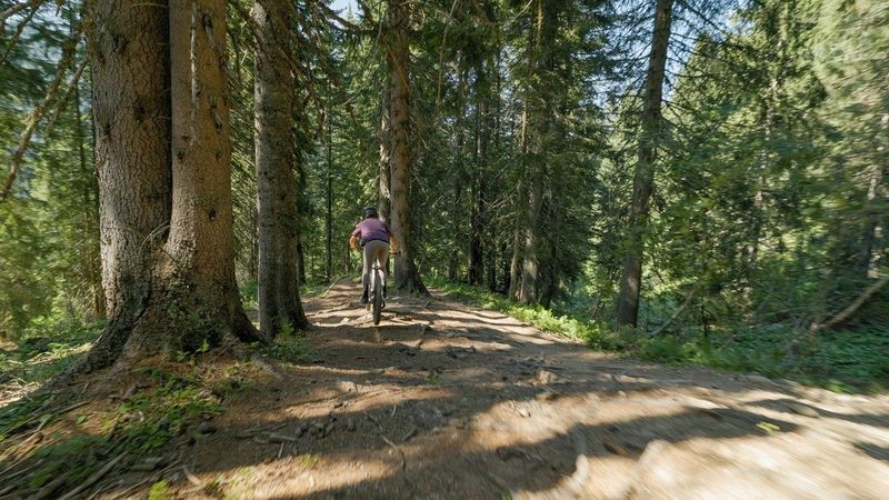 Canon EOS R6 Mark II