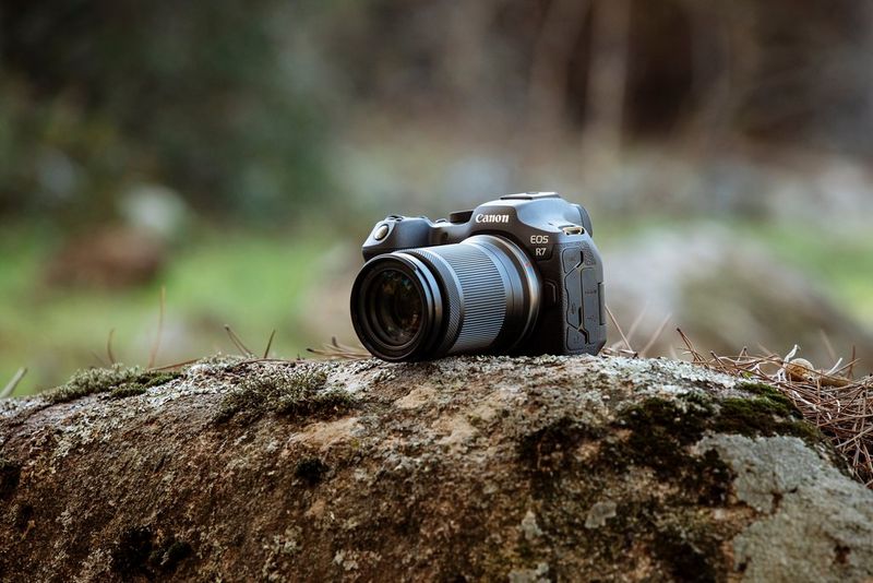 A Canon EOS R7 photographed in a forest setting.