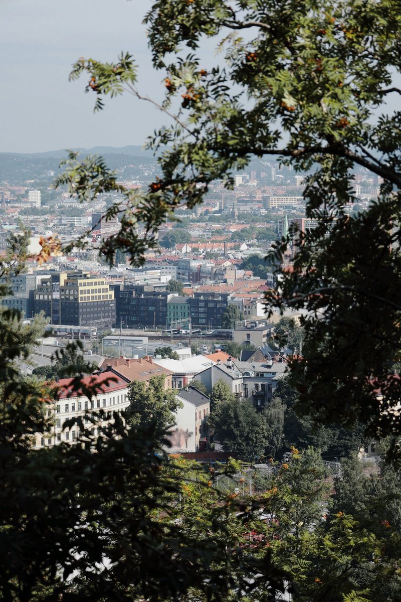 Photo de voyage offrant une vue sur Oslo à travers les branches d'un arbre, prise par Frauke Hameister avec un Canon EOS R8 Mark II équipé d'un objectif Canon RF 24-105mm F4-7.1 IS STM.