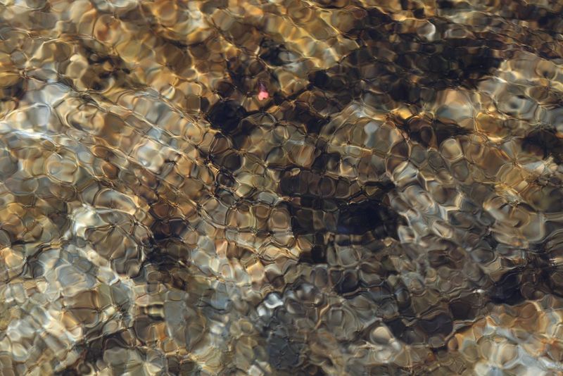 Le lit rocheux d'un ruisseau vu à travers la surface de l'eau aux ondulations scintillantes. Photo de voyage prise par Frauke Hameister avec un Canon EOS R8 Mark II équipé d'un objectif Canon RF 85mm F2 MACRO IS STM.
