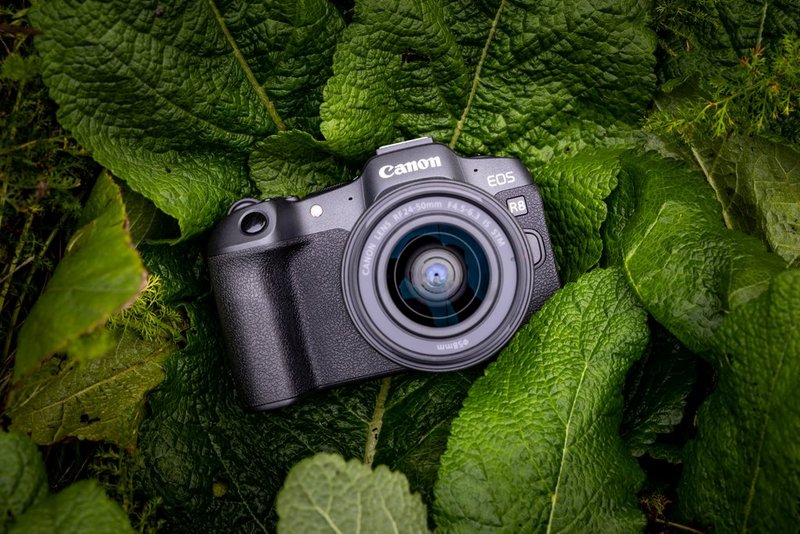 EOS R8 3'lü karşılaştırma: EOS RP - EOS R7 - EOS R8