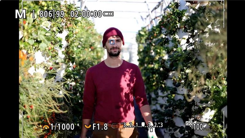 The screen of a Canon EOS R8 showing a man walking towards the camera between rows of plants, with an autofocus square overlaid on one eye. 
