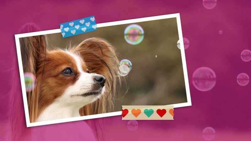 Uramite zabavne trenutke i osetite ljubav