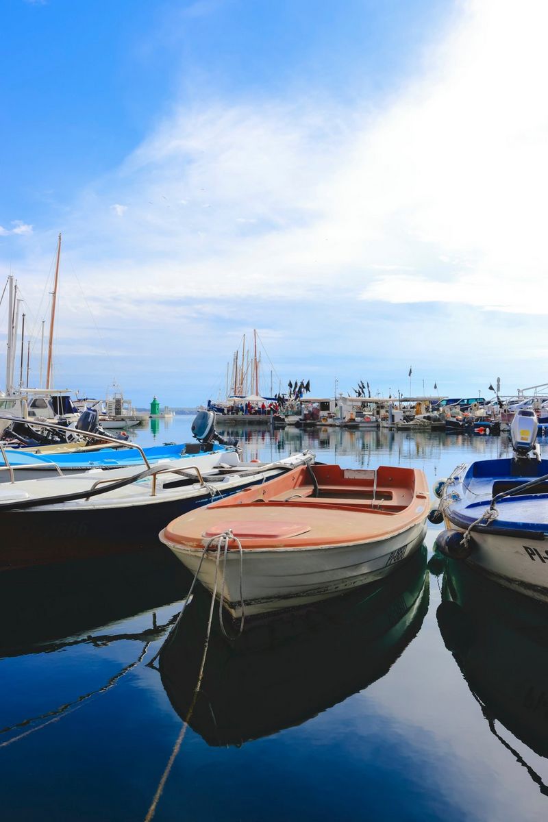 
       
       Le fotografie che amerai per gli anni a venire
     
     