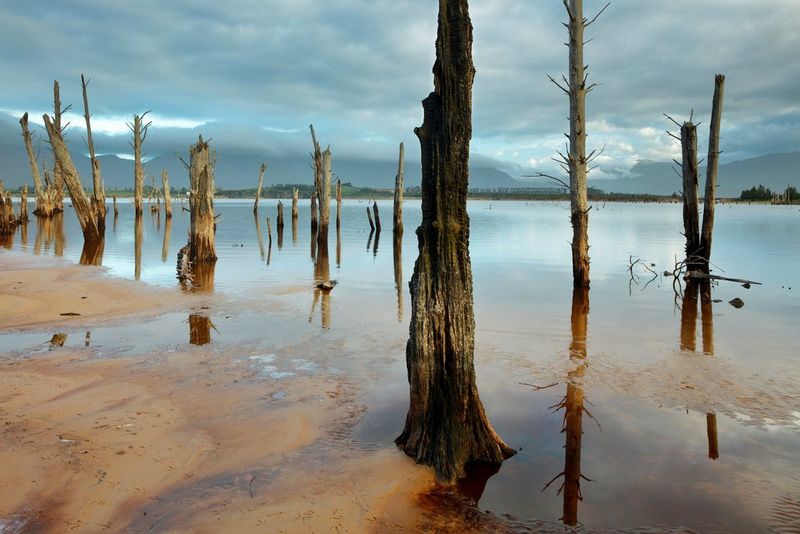 
       Объективы с механизмом наклона и сдвига
     