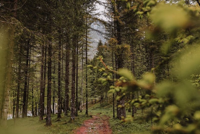 
       
         Il GPS integrato* monitora ogni tuo movimento
       
     