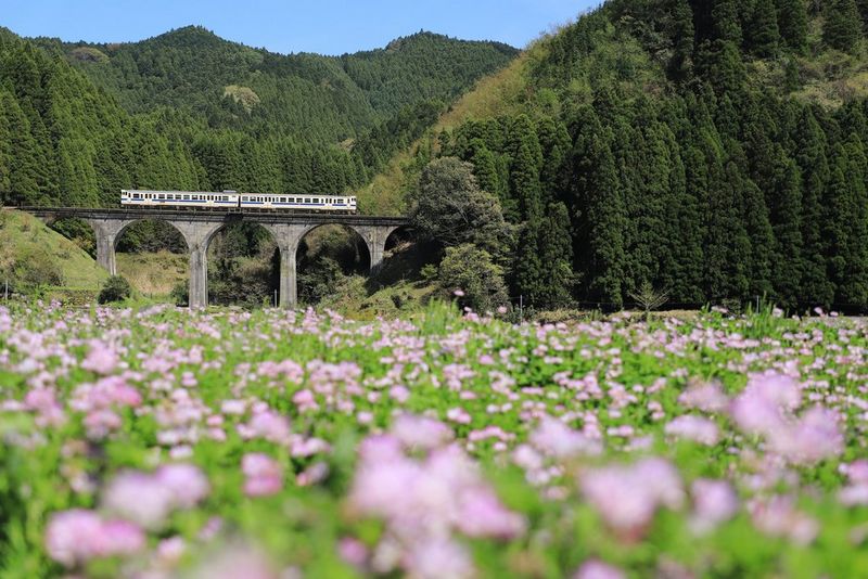 EOS_6D_Mark_II_Sample_CINC_26_IMG_1908_P_A2