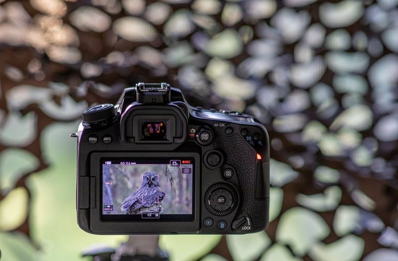 EOS 90D Shooting Video