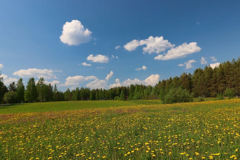 EOS 90D Travel Photography