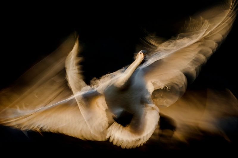 CANON EMEA AMBASSADOR-PROGRAMMA