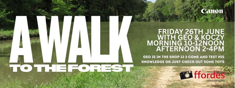 A walk to the forest