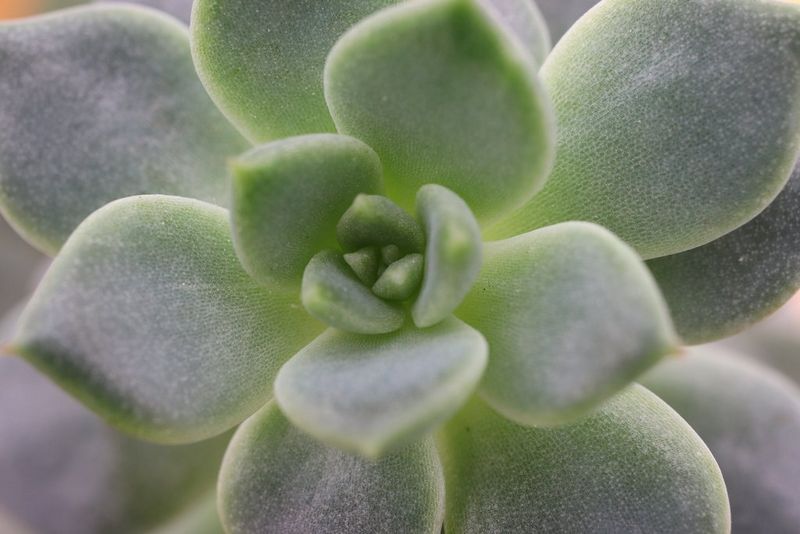 
       
         Удобная управляемая встроенная подсветка
       
     