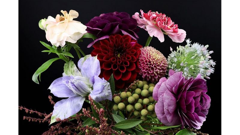 Canon EOS RP focus bracketing flower