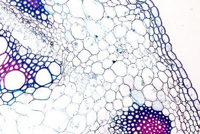 Brightlands Venture Partners in the picture!