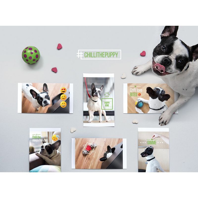 Your Instagram’s best friend