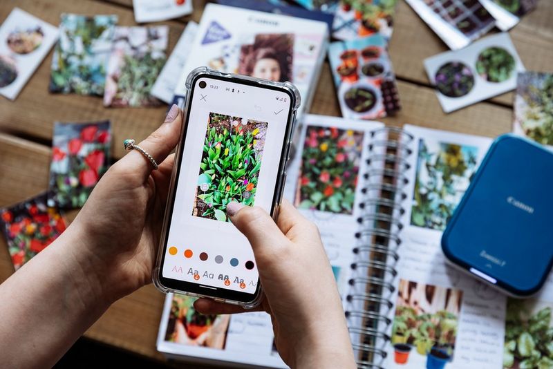 Ruce používající aplikaci Canon Mini Print se chystají přidat text k fotografii tulipánů na chytrém telefonu.