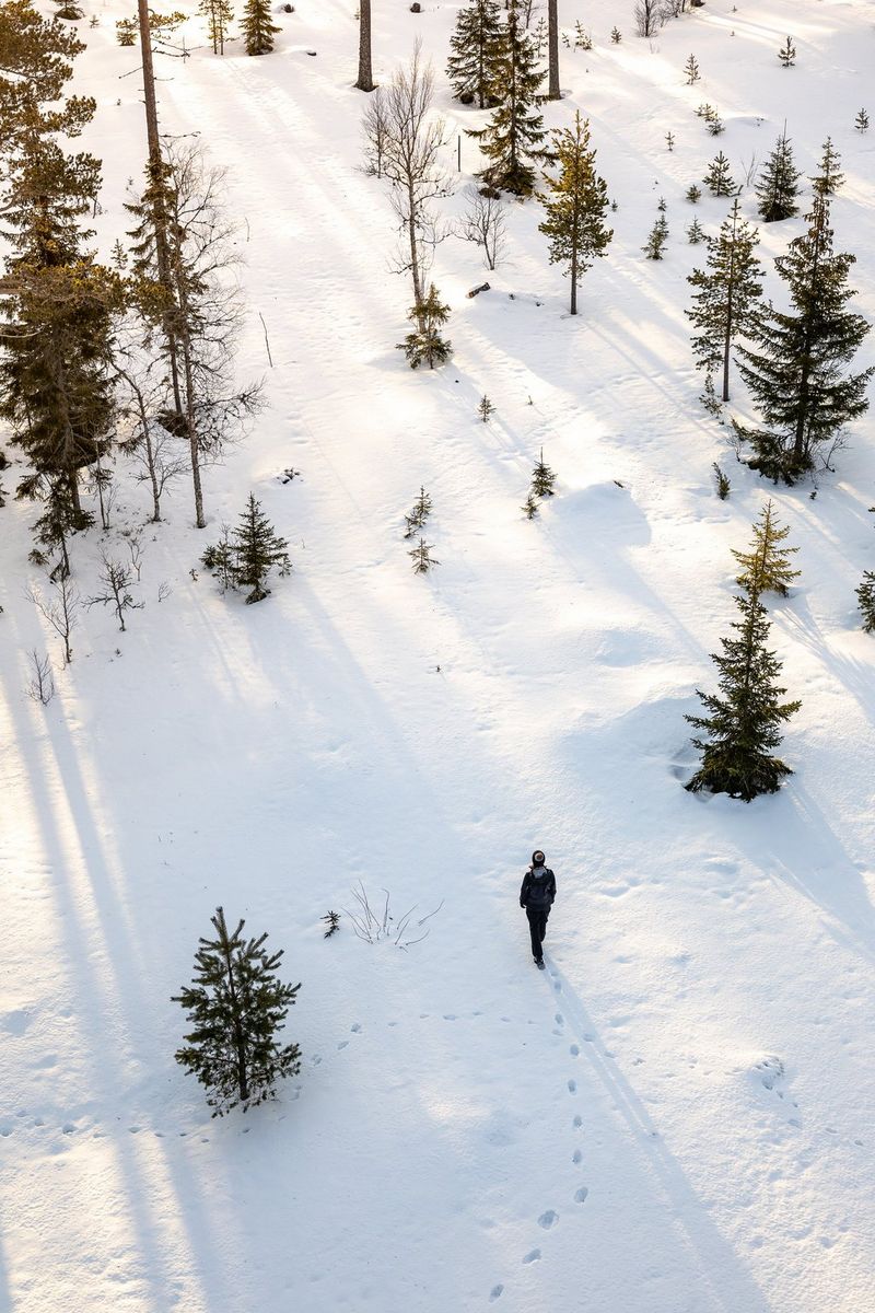 Foto scattata con un drone di un uomo che cammina tra le conifere in un paesaggio innevato. Dietro di lui, orme sulla neve.
