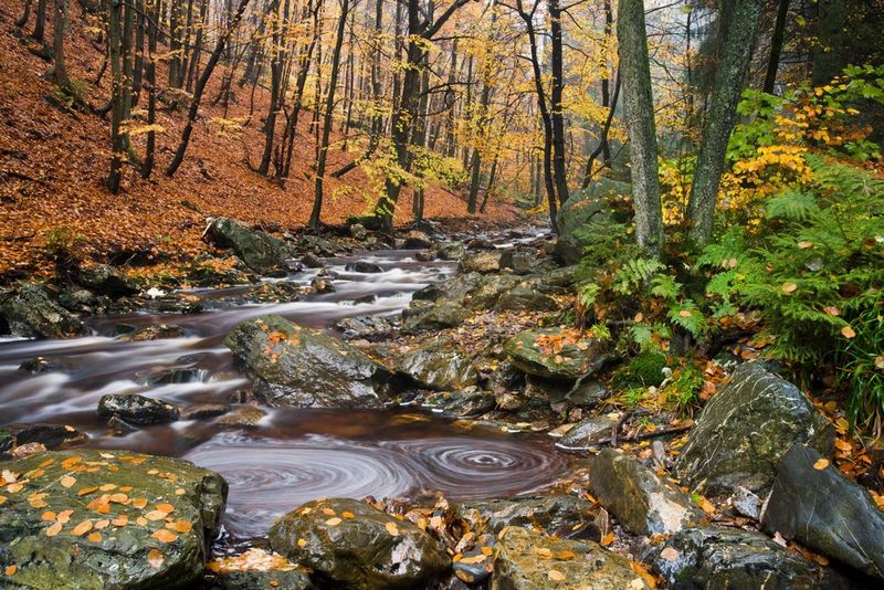 A mountain stream flows through an autumnal landscape, with ferns and rocks in the foreground.