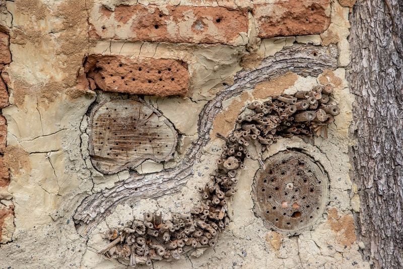 Čebelji hotel, ustvarjen z vrtanjem lukenj v palice in les, ki ga je z objektivom Canon EF 24-105mm f/4L IS II USM posnel fotoreporter za divje živali Christian Ziegler.