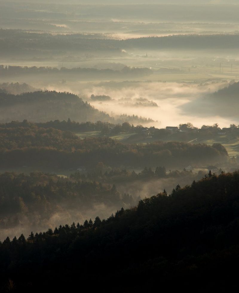 Nevel vult de valleien tussen met bomen bedekte bergen bij zonsopgang.