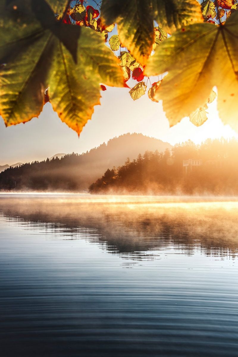 In mist gehulde heuvels naast het Meer van Bled in Slovenië bij zonsopgang. De bladeren op de voorgrond en de heuvels in de verte zijn geler en het water van het meer is blauwer.