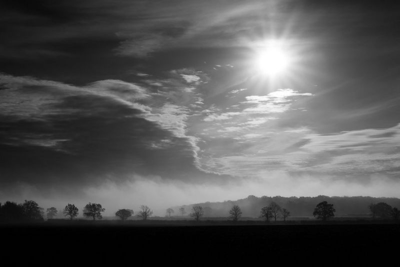 На этом черно-белом пейзаже солнце светит сквозь облака на раскидистые силуэты деревьев.