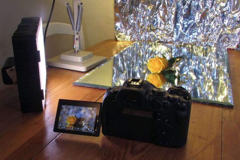 A tabletop with a mirror surrounded by foil, with a lightbox to one side and a Canon EOS R6 set up to shoot a yellow rose.