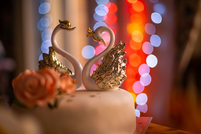 На столе стоит торт, украшенный розами и фигуркой лебедя. Размытые огни гирлянды освещают задний план.