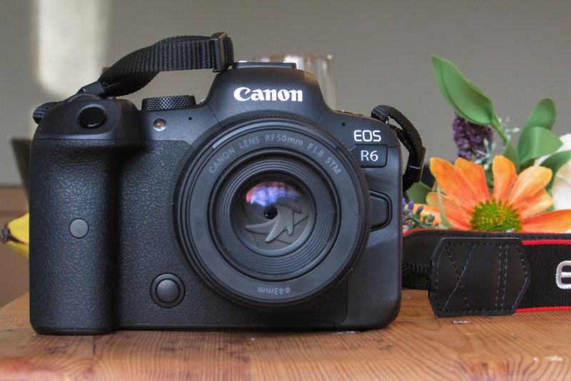 A Canon EOS R6 camera with a Canon RF 50mm F1.8 STM lens. 