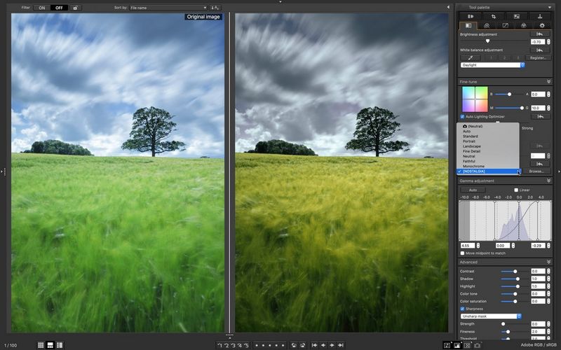 Capture d'écran de Canon Digital Photo Professional montrant deux versions d'une image d'un champ, non éditée sur la gauche et avec le style d'image Nostalgie appliqué sur la droite.