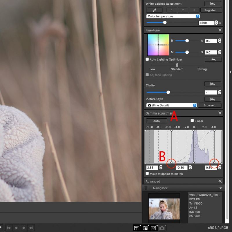 צילום מסך של תוכנת DPP של Canon שמציגה את ההיסטוגרמה ואפשרויות אחרות בלוח של כלי התאמת הגאמה.