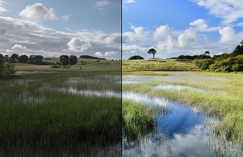 A before and after shot of a field of long grass, dark and unedited on the left, showing the lighter version on the left, edited in DPP. 