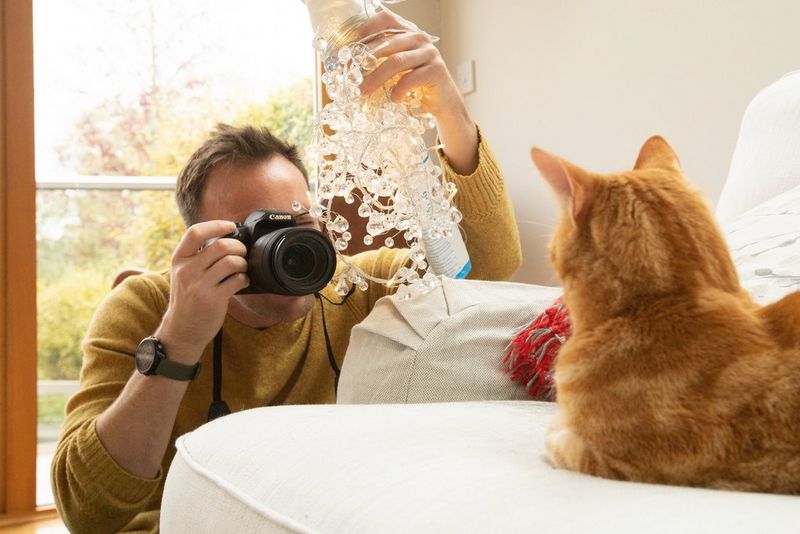 A photographer dangles a string of fairy lights in front of the camera while shooting a cat on an armchair.