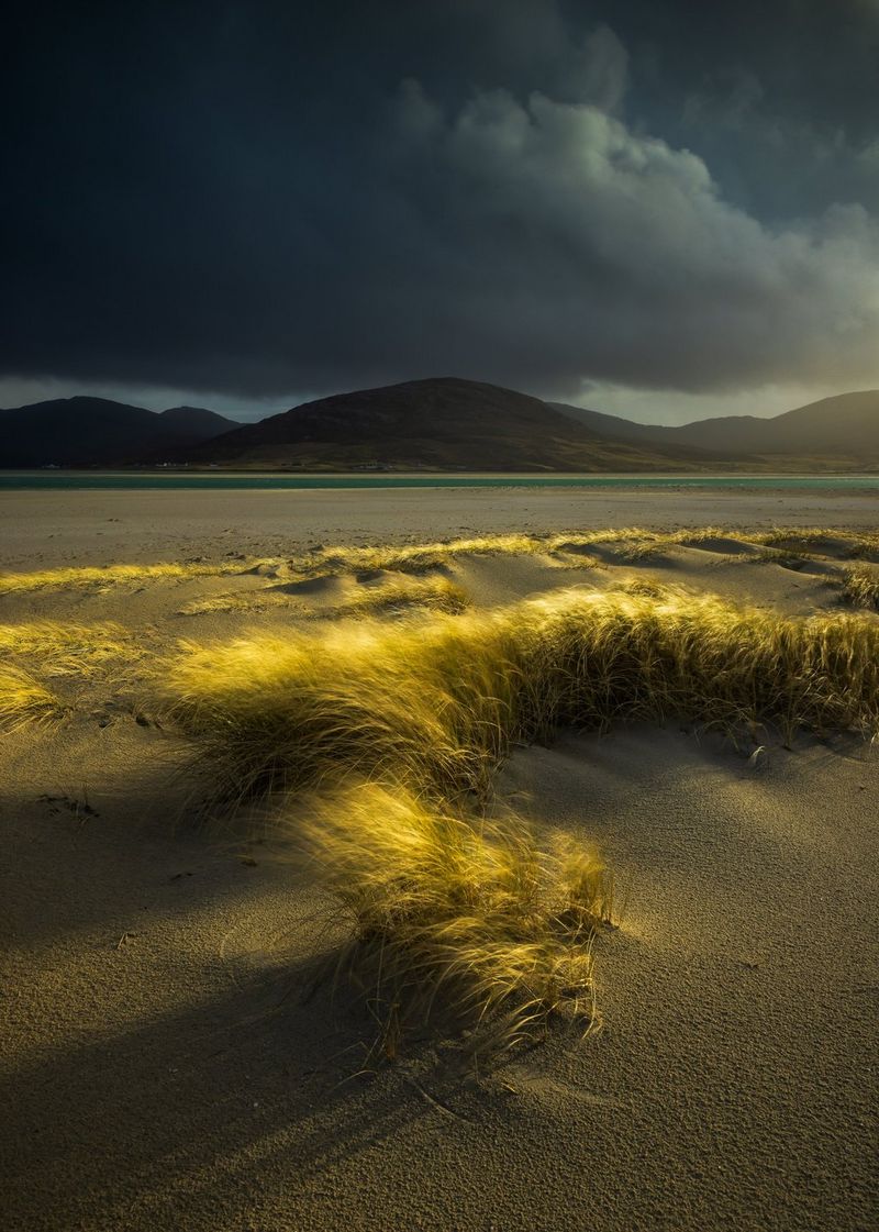 The dunes at Luskentyre on the Isle of Harris, Scotland, photographed with marram grass illuminated against a stormy sky in a photo taken on a Canon EOS R5 by Verity Milligan.