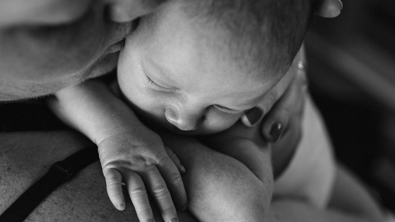 Perditi tra i dettagli: 4 tecniche per realizzare foto macro a casa