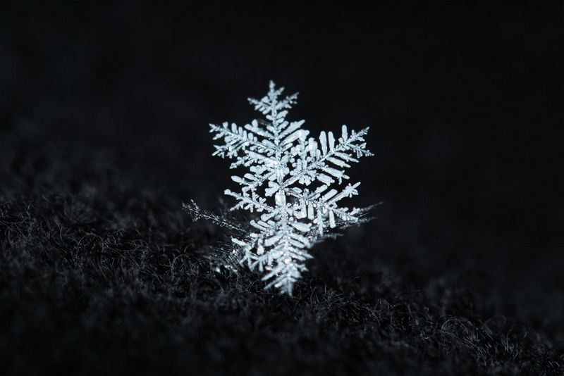 Un'immagine estremamente ingrandita di un fiocco di neve con dettagli intricati su del tessuto lanuginoso nero.