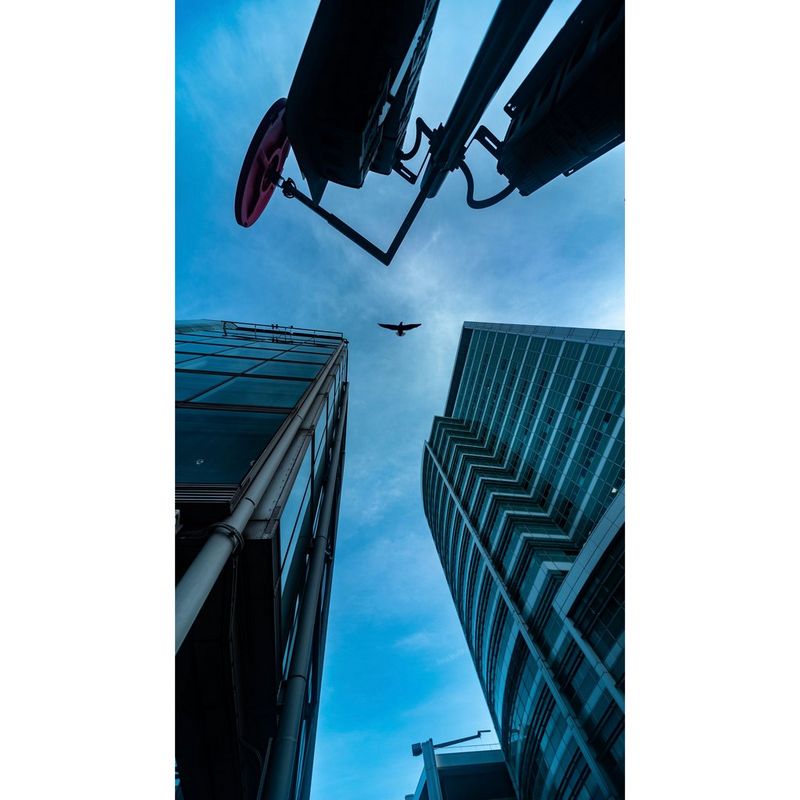 Een vliegende vogel tussen twee torenhoge wolkenkrabbers tegen een helderblauwe lucht, gefotografeerd vanaf de grond met de camera omhoog gericht.