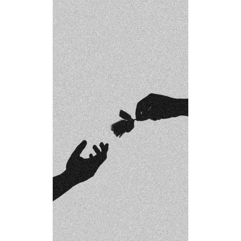 De schaduw van een hand die een roos aanreikt aan een tweede hand, ook in de schaduw.