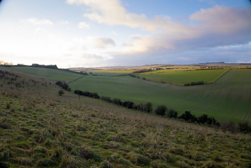 A wide landscape showing rolling green fields separated by rows of trees, covered by cloud.